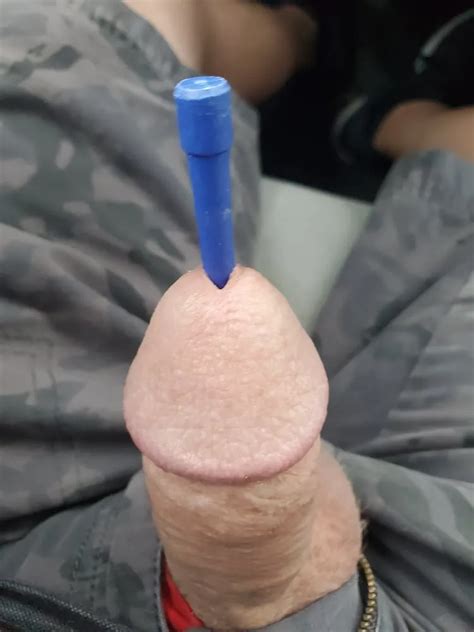 Chastity Tied And Sounding 15 Nude Pics XHamster