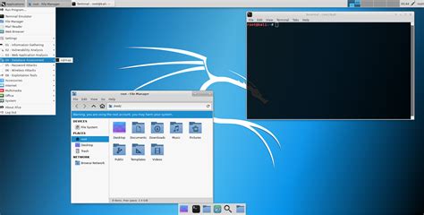 Где скачать Kali Linux. В чём различие версий Kali Linux - Дистрибутивы ...