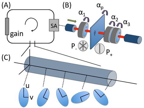 A Schematic Of A Mode Locked Laser Cavity Which Includes A Ring Fiber