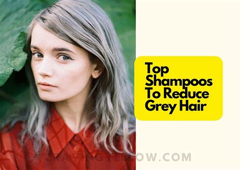 5 Best Sulfate Free Shampoo To Reduce Grey Hair In 2024