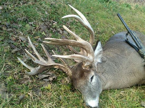 Wild game experts use data to explain the growth of a monster muley 3