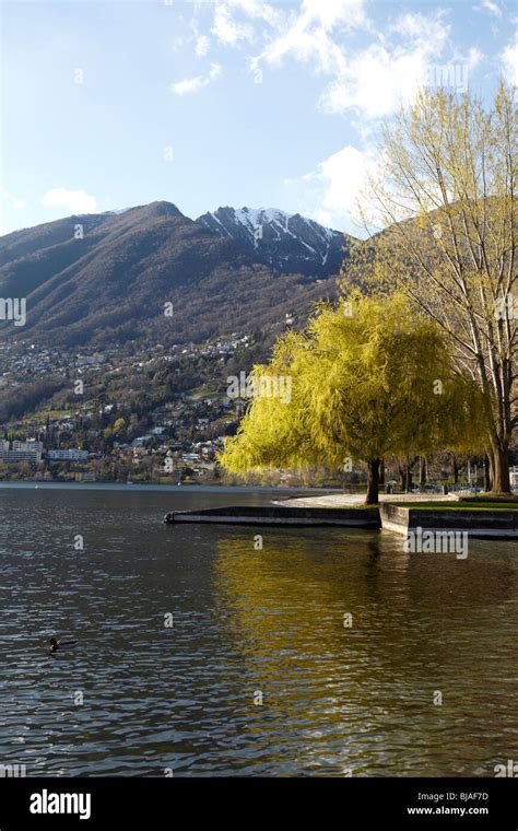 Lake Maggiore Locarno Switzerland Stock Photo Alamy