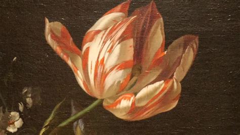 dutch art deep dive  significance  tulips  dutch art youtube