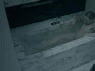 Tova Magnusson Nude Pics Seite