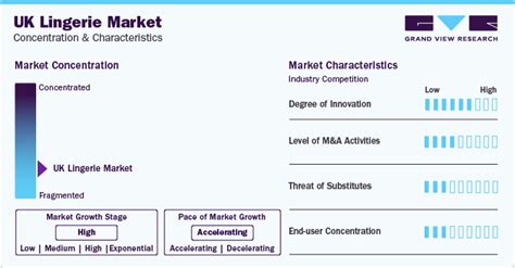 Uk Lingerie Market Size Share And Growth Report