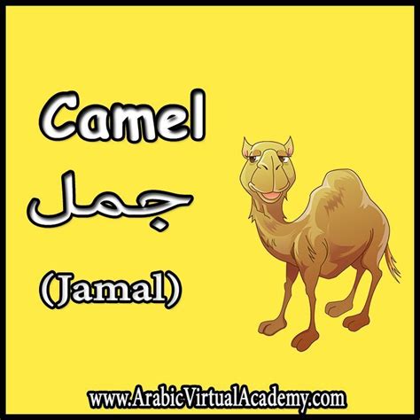 Hindi Meaning Of Word Camel - CimoL - ComeL