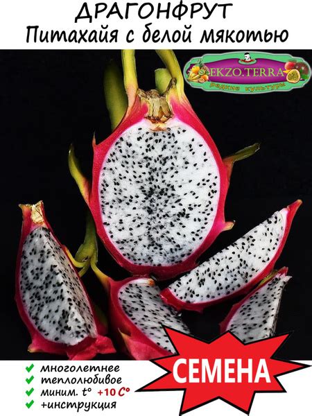 Плодовые разные EKZO.TERRA Питахайя, Драгонфрут (Фруктовый кактус ...