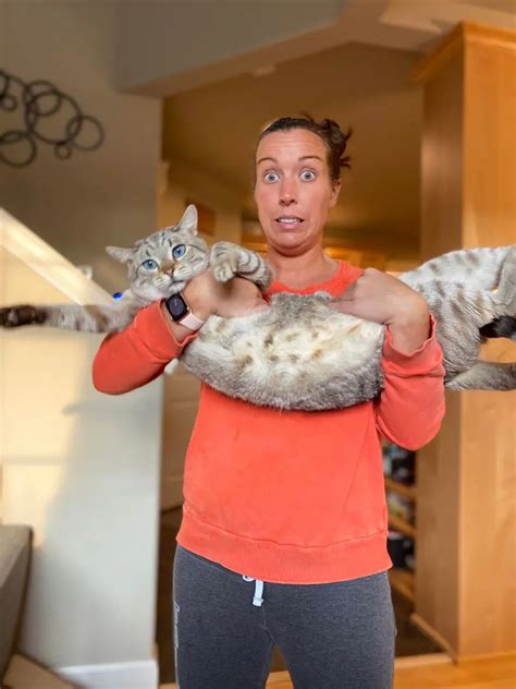 My Wife And Her Huge Pussy Bridger Scrolller