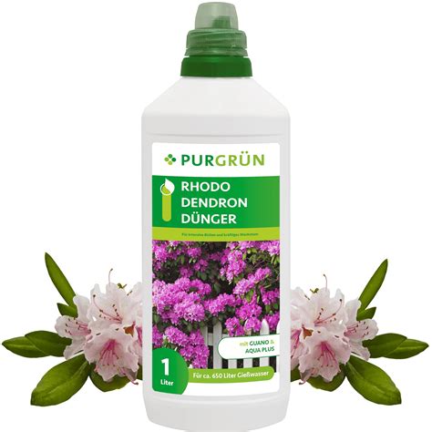 4 Besten Rhododendron Dünger 2024 Im Test Garten Schule