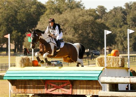 Majestic Oaks USEA 3-Phase Horse Trials January 2023 - Majestic Oaks Ocala