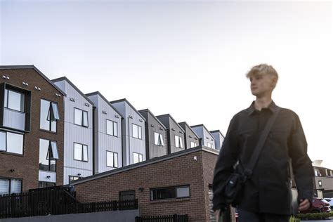 Expert Development Advisory for Custom Solutions | Harrison Grierson