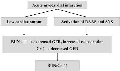 Figure From Prognostic Value Of Admission Blood Urea Nitrogen