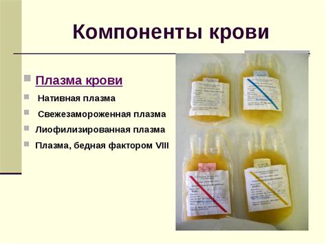 Лекция №5 - презентация, доклад, проект