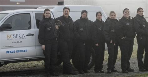 How Do I Become A Cruelty Investigator With The Bc Spca