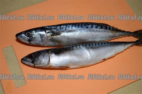 Скумбрия с рисом и овощами в духовке: 12 фото в рецепте