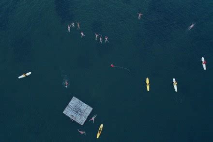 Swimmers Participate Annual Nude Winter Solstice Editorial Stock Photo Stock Image