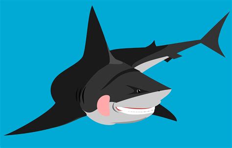 40,000+ Free Cartoon Shark & Shark Images - Pixabay