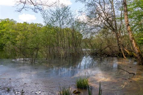 Loire Valley Countryside Stock Image Image Of Water 201360007