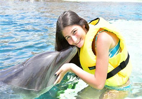 Why Are Dolphins Friendly To Humans