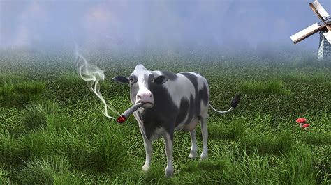 Prime Video Sex Drugs Bicycles