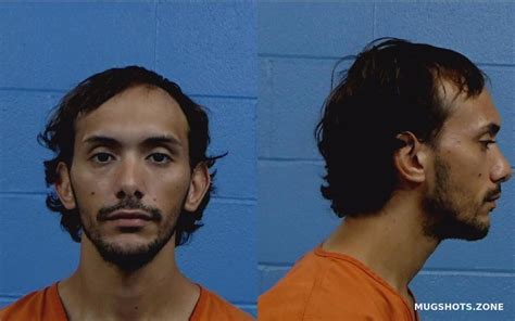 Pena Omar Alberto Williamson County Mugshots Zone