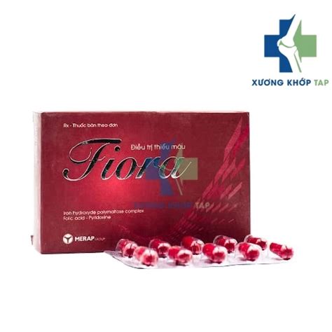 Fiora Thuốc điều Trị Bệnh Thiếu Máu Do Thiếu Sắt