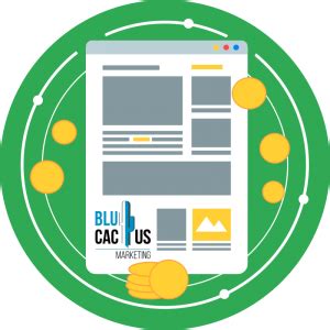 Por Qu El Seo Es Importante Para Mi Sitio Web Blucactus Ve