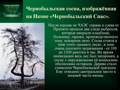 Икона «Чернобыльский Спас» - презентация онлайн