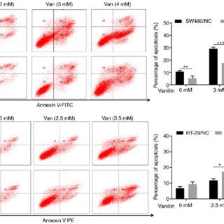 Vanillin Induces Cell Apoptosis In A Dose Dependent Manner In Crc