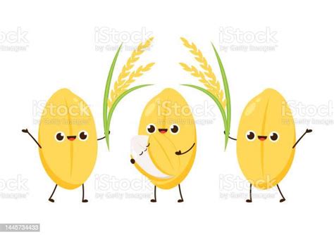 rice character design rice vector  white background paddy vector