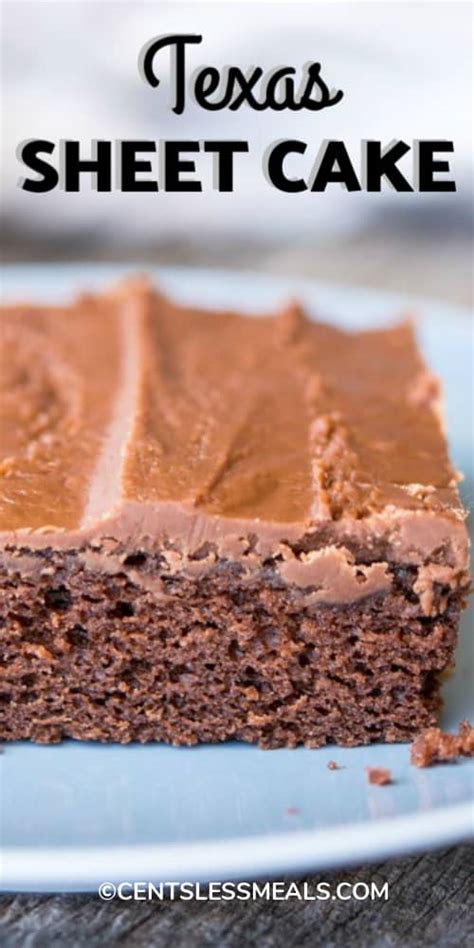 Easy Texas Sheet Cake Recipe Rich And Chocolatey The Shortcut Kitchen