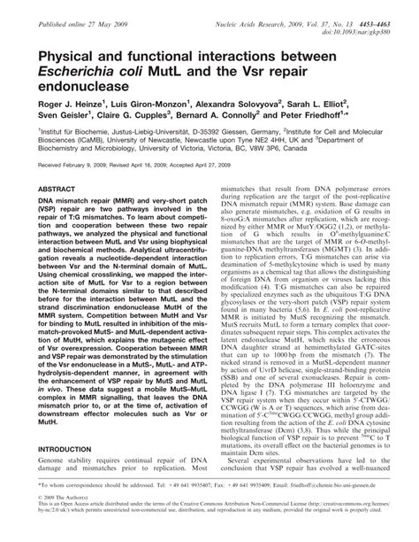 PDF Physical And Functional Interactions Between Escherichia Coli