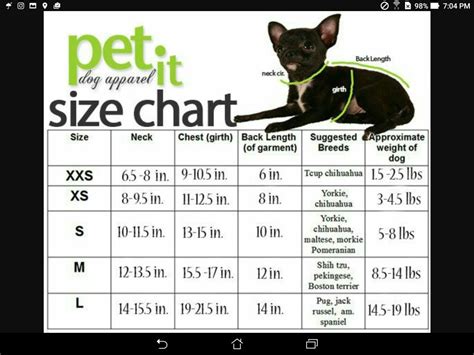 Dog Clothing Size Chart By Breed