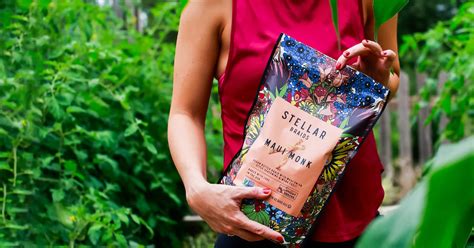 Southwest Airline Pretzels | Stellar Snacks