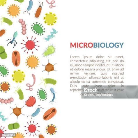 Spanduk Mikrobiologi Atau Template Halaman Arahan Dengan Ilustrasi Vektor Teks Dan Warnawarni