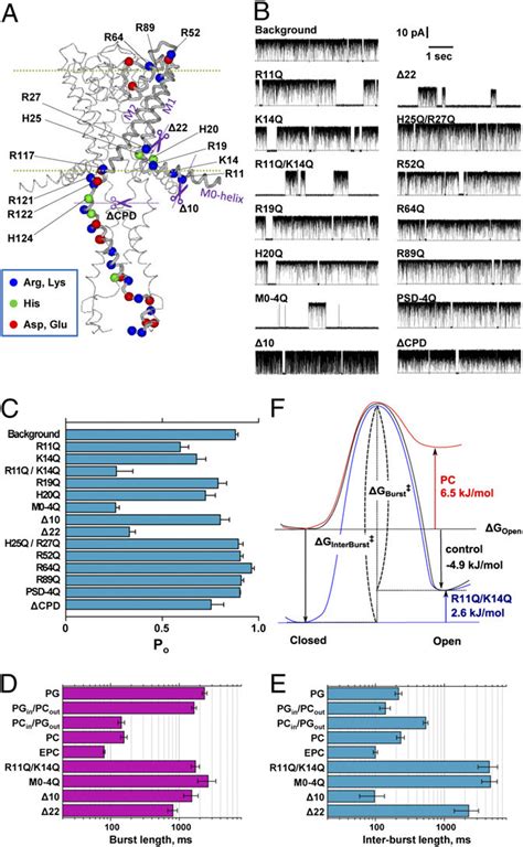 Effects Of Charge Neutralization And The Deletion Mutations On