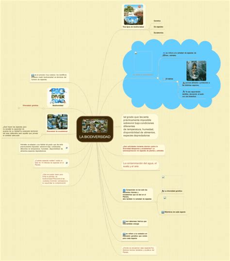 Mapas Mentales De La Biodiversidad Descargar
