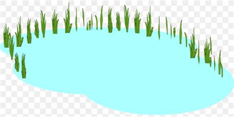 Clip Art Image Pond Vector Graphics Png X Px Pond Grass Grass