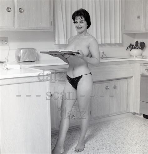 1960s Ron Vogel Negative Busty Nude Pinup Girl Lee LeMire Cheesecake V301851 EBay