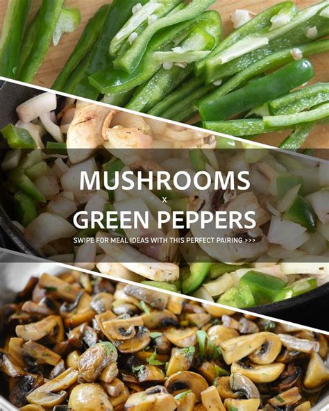 Mushroom Recipes | Cook with Mushrooms