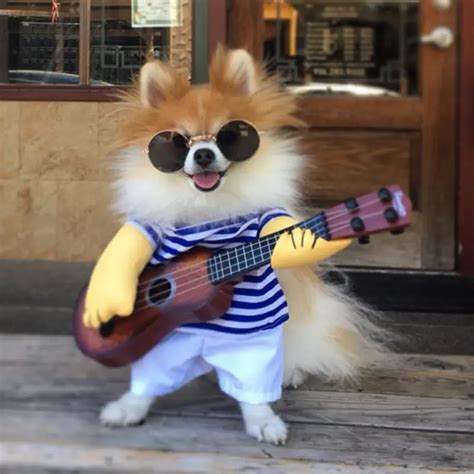 Dogbaby Roupas Guitarra Engraçado Trajes de Halloween Para Animais de ...