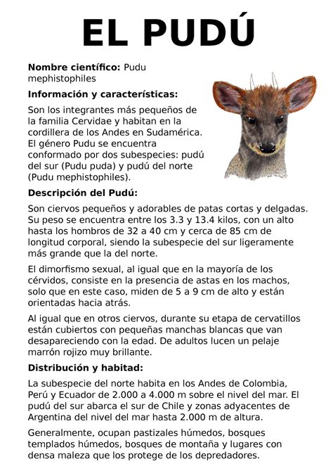 EL PUDÚ es una breve descripción del el Pudu un animal en peligro de