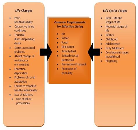 Dorothea Elizabeth Orem S Theory Of Self Care Theory Of Self Care