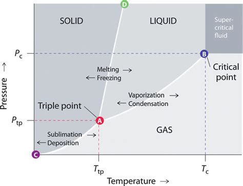 A Schematic Of A Typical Phase Diagram Showing The Download