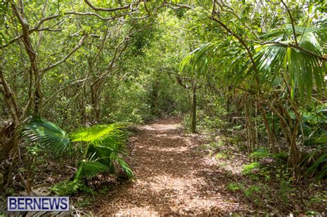 Video And Photos Island To Be Living Classroom” Bernews