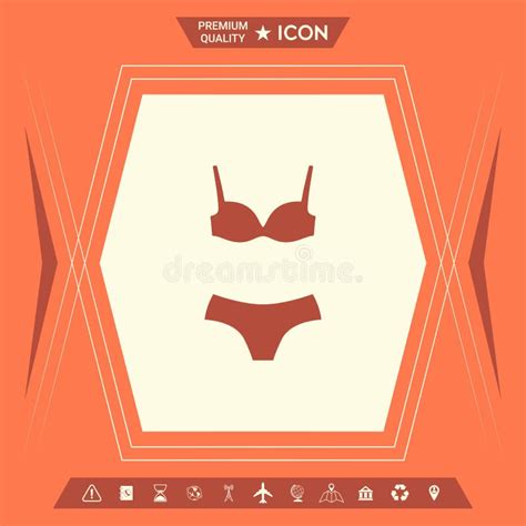 Sistema De La Ropa Interior O Del Traje De Baño Bikini De Dos Piezas