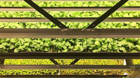 Meatless Monday Veggie Porn Food Republic