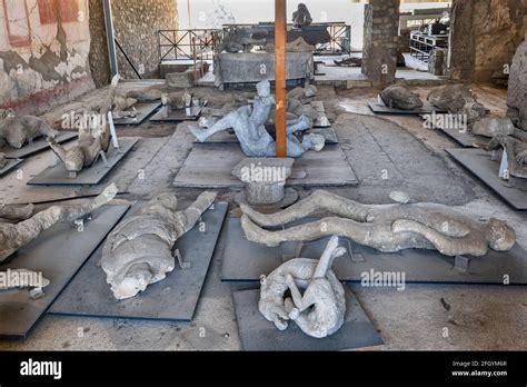 Human bodies plaster cast, ancient victims of the Mount Vesuvius ...