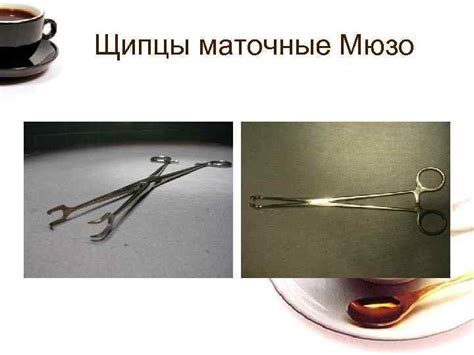 Хирургические инструменты Выполнил студент Вол ГМУ 1 курс