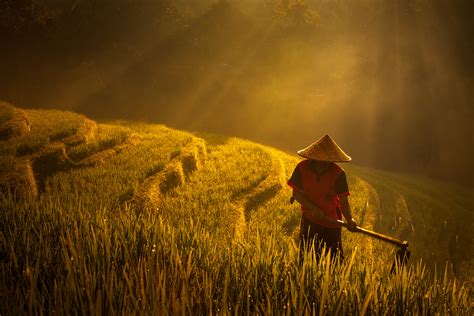 Balinese Farmer At Sunrise Bali Indonesia Ken Koskela Photography